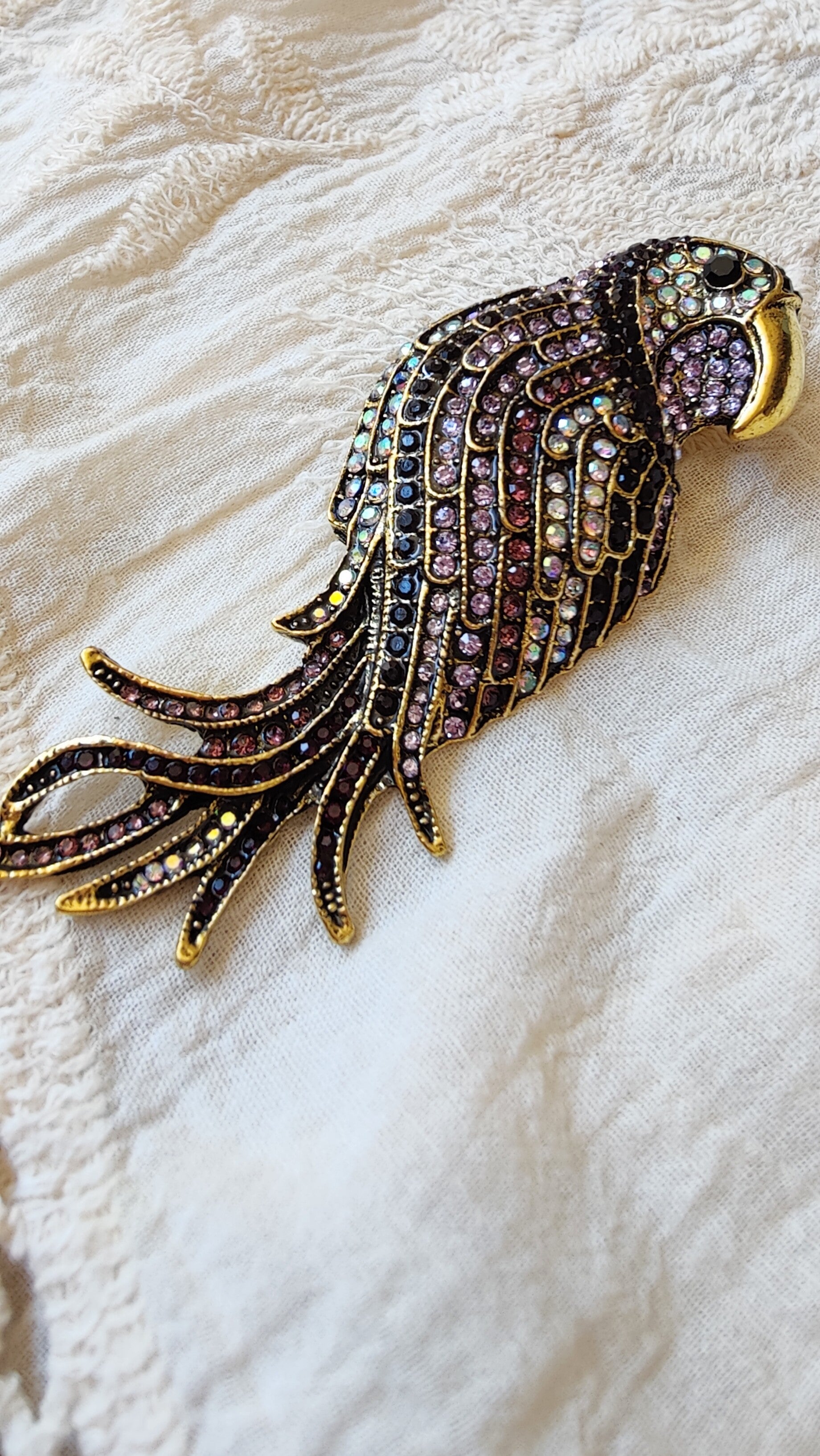 Brooch Parrot